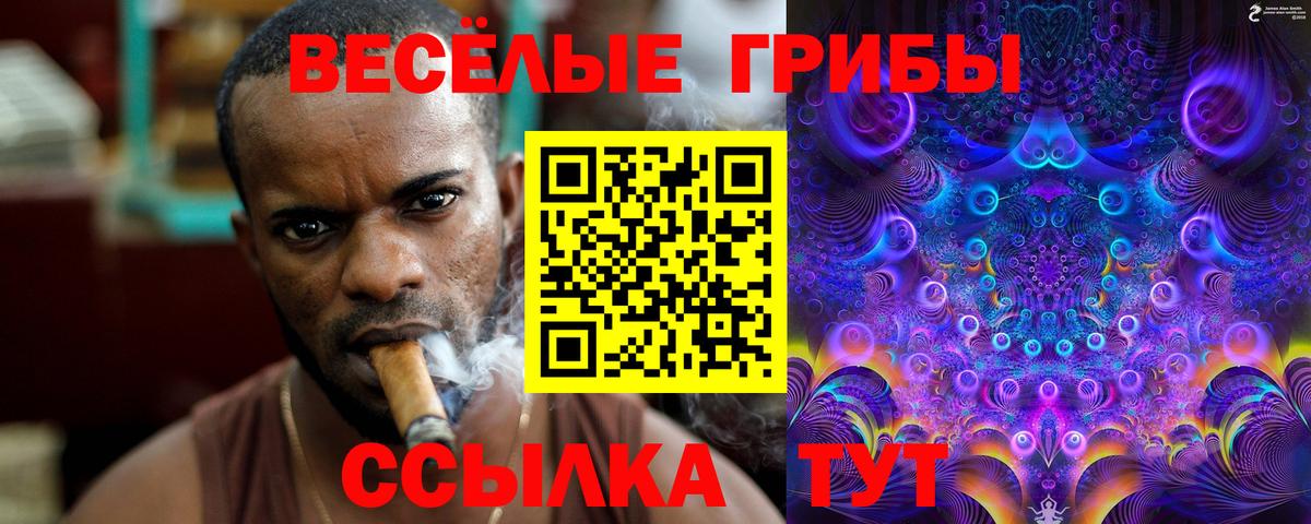 Мичуринск  Галлюциногенные грибы мицелий  Вход с VPN 