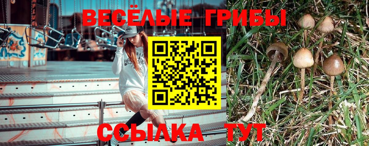 Псилоцибиновые грибы мухоморы Мичуринск